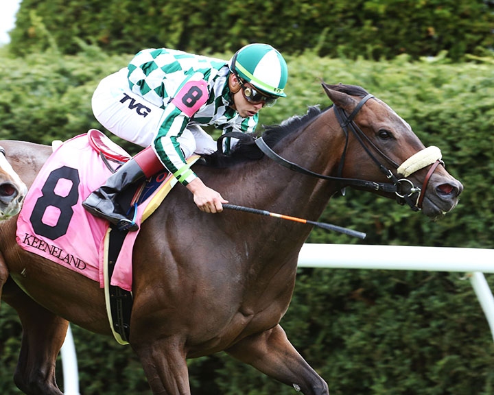 Morticia wins the 2019 Giant-s Causeway