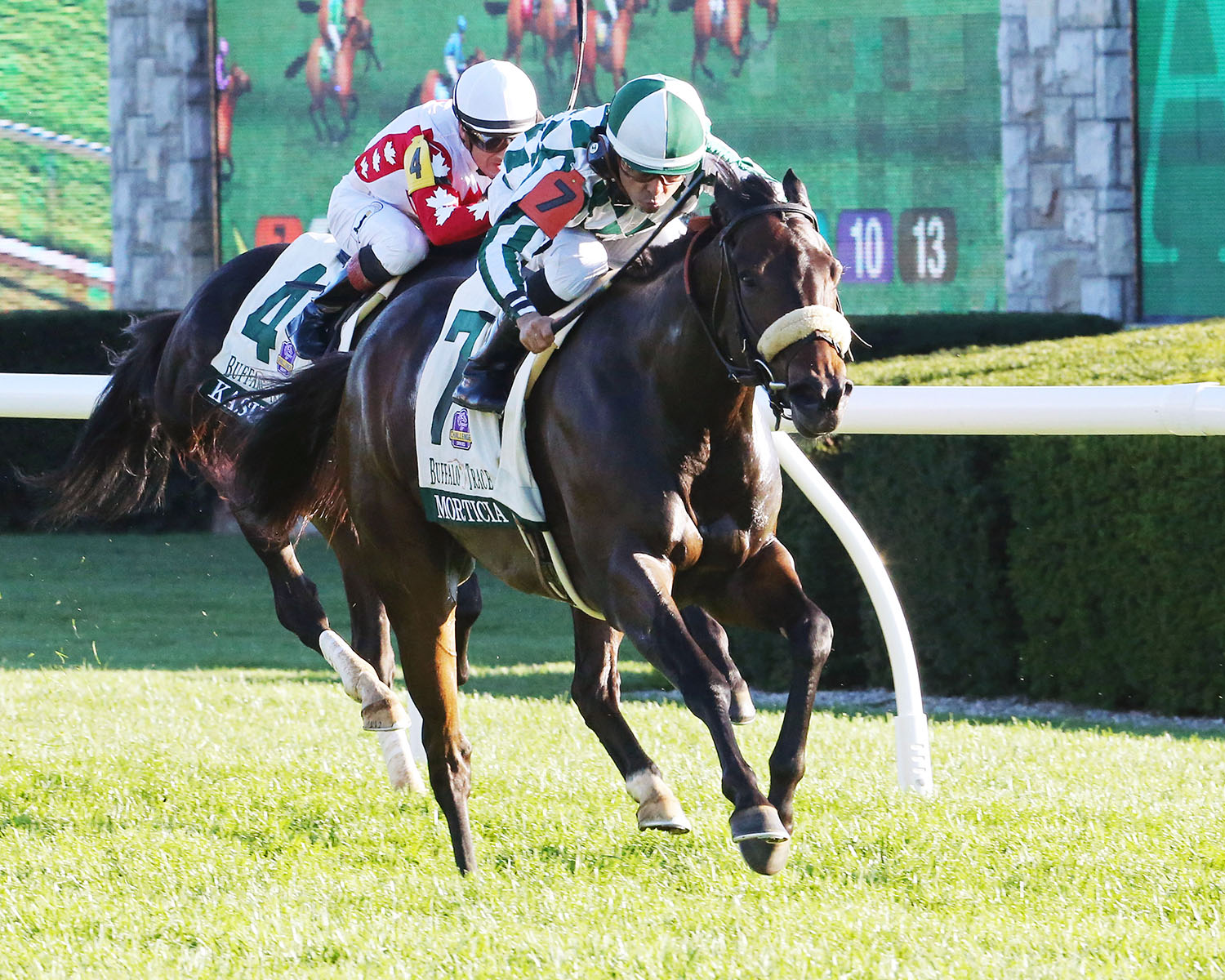 Morticia wins the 2017 Franklin County Stakes