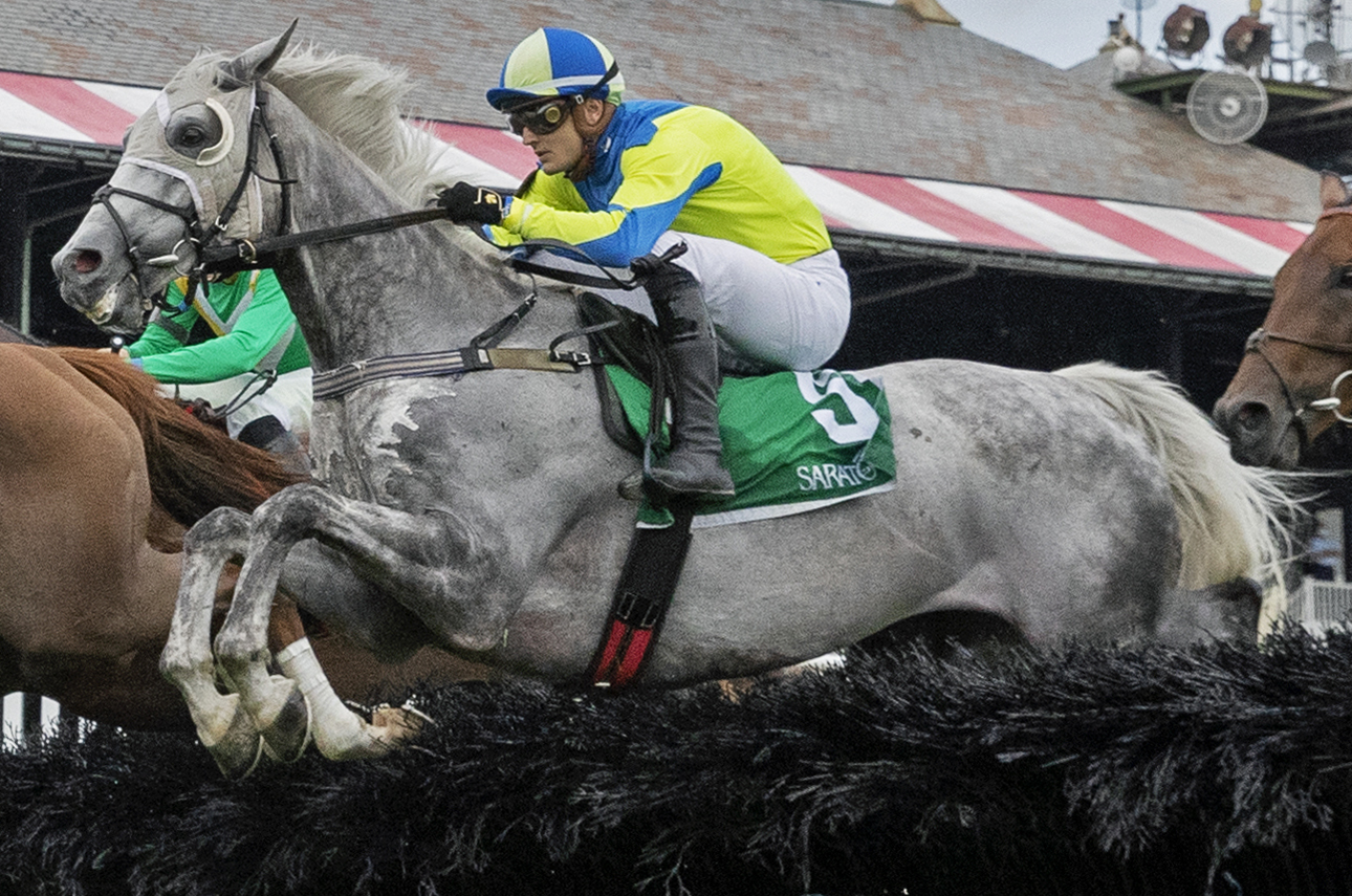 ECLIPSE steeplechase Moscato