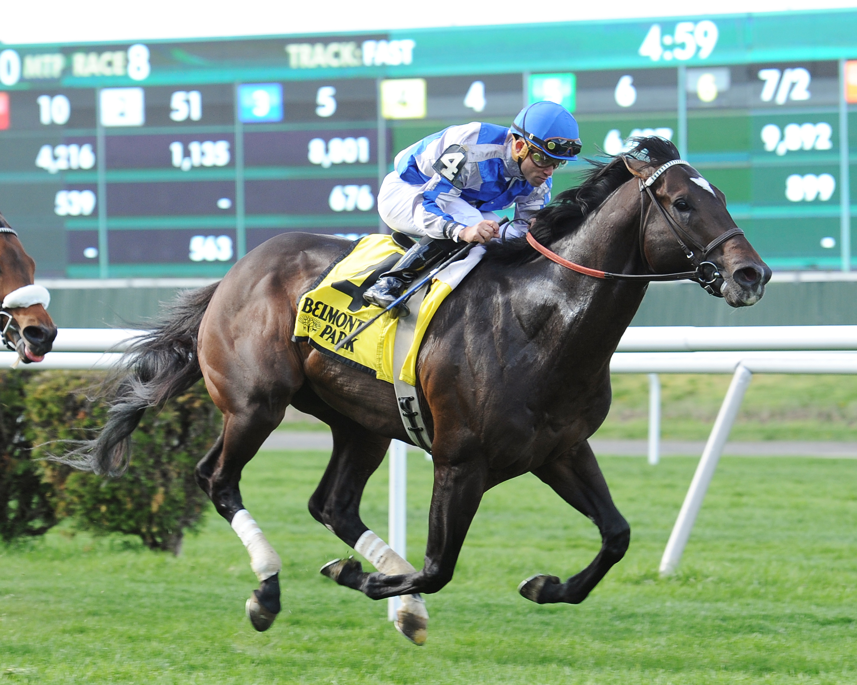 Mosler wins the Elusive Quality