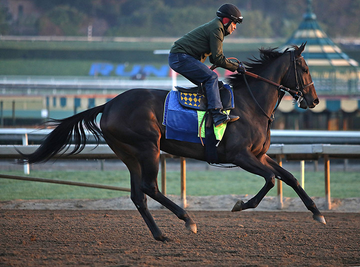 Mother Mother trains at Santa Anita Park on Feb. 24
