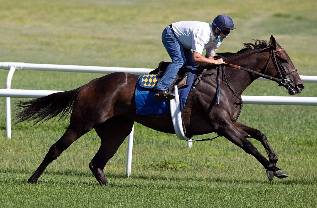 Mother Mother trains on turf at Saratoga Race Course on July 26