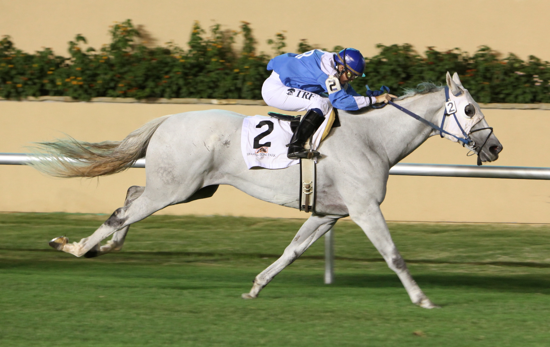 Motion Approved, Red Earth Stakes