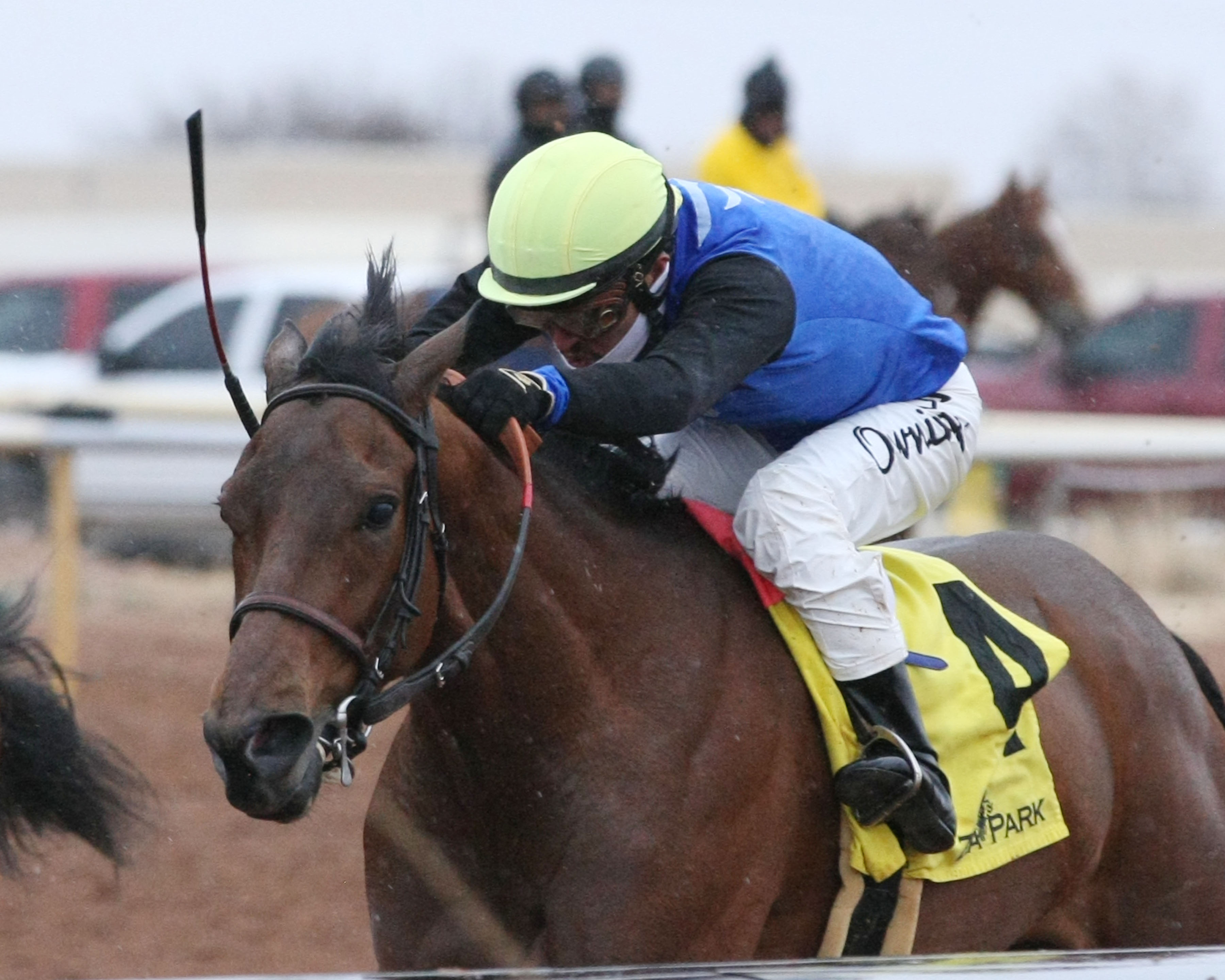 Motion Emotion wins the 2019 Zia Park Oaks
