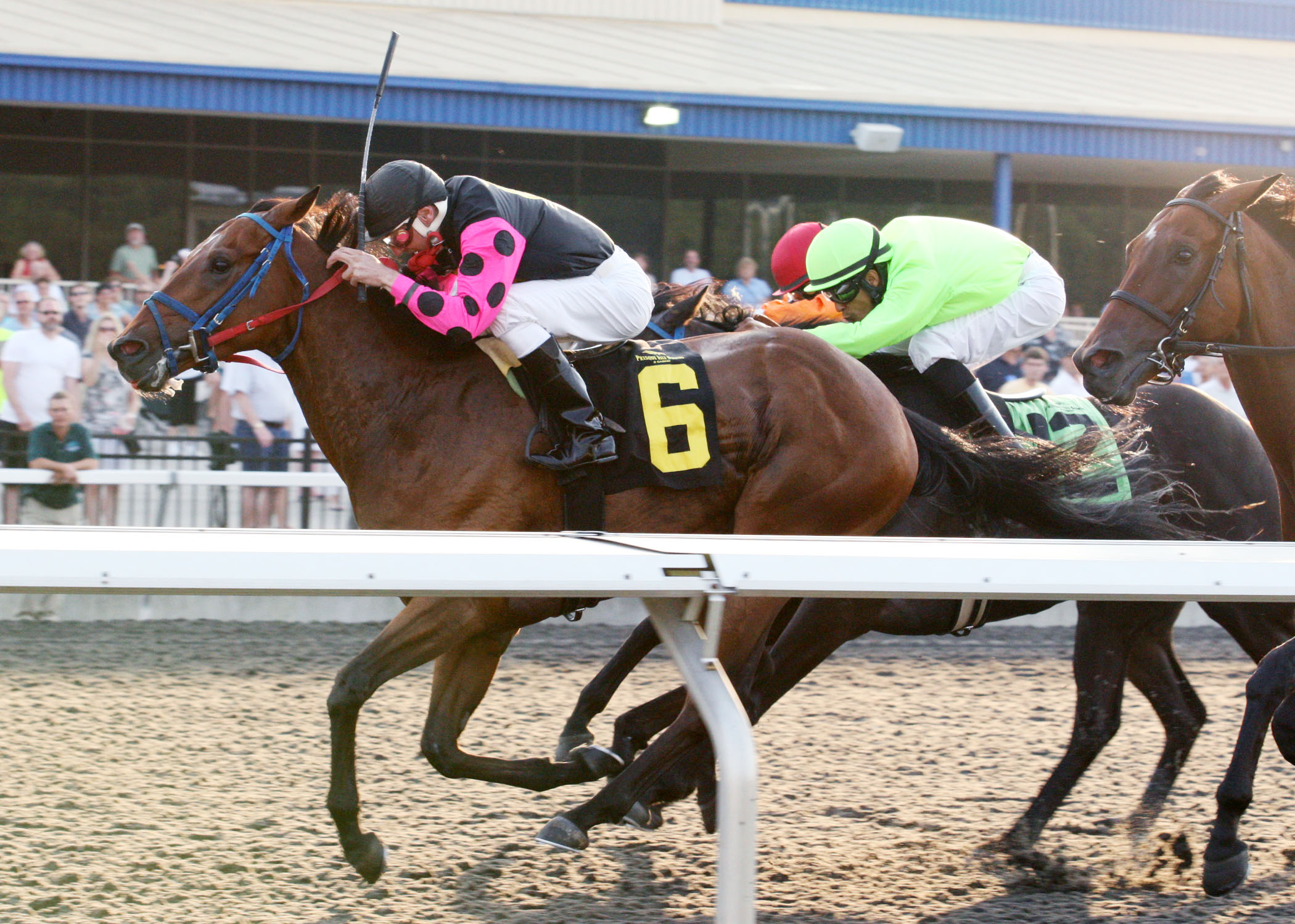 Motion to Appeal, Leemat Stakes