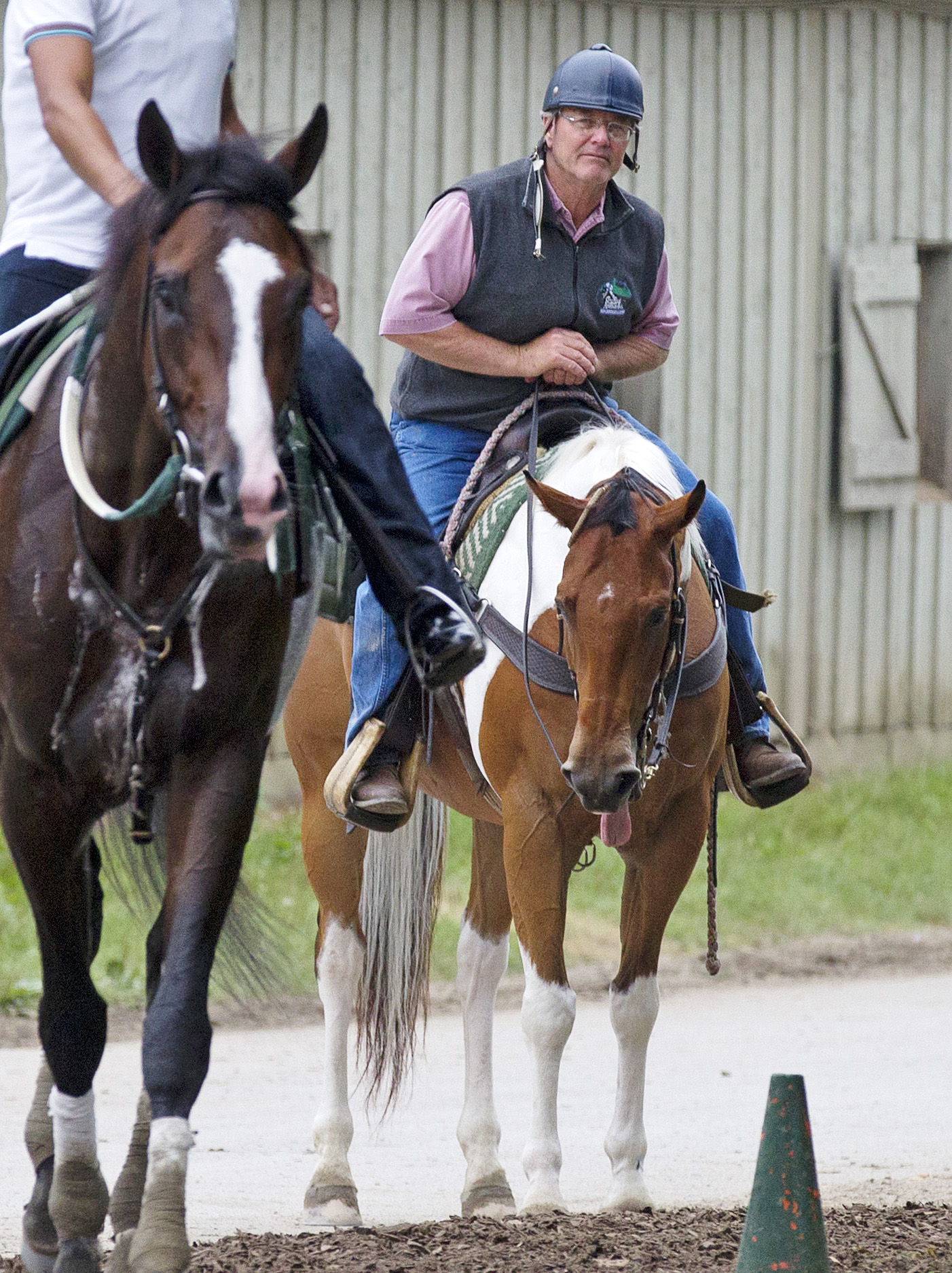 Bill Mott watches Japan at Saratoga on July 27