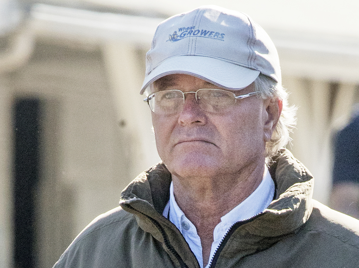 Bill Mott 2017