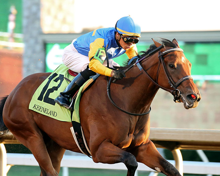 Motu wins an October 2019 maiden race at Keeneland Racecourse