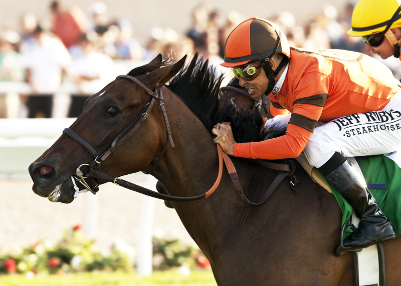 Moulin de Mougin wins 2014 Mabee
