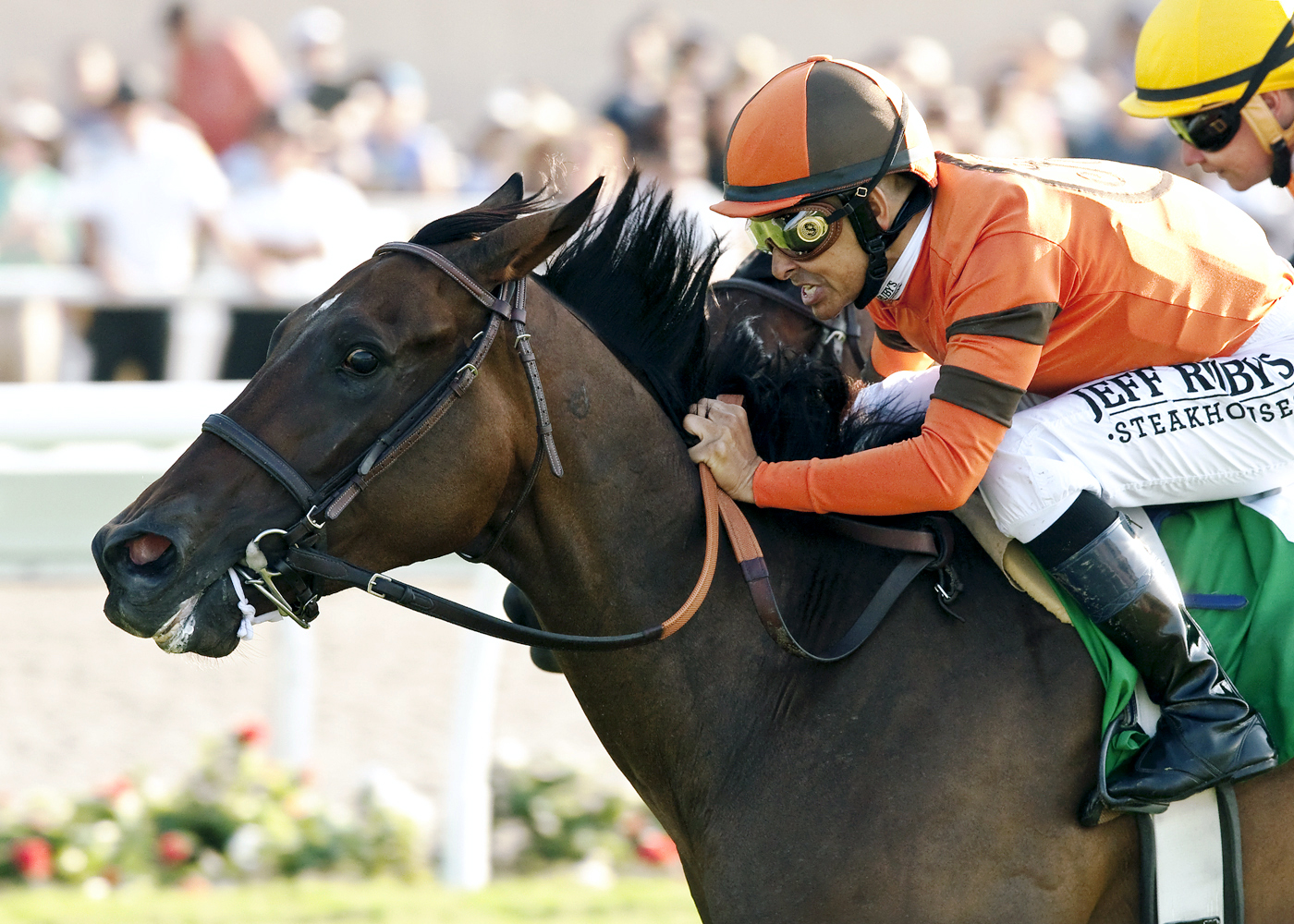 Moulin de Mougin wins the John C. Mabee Stakes