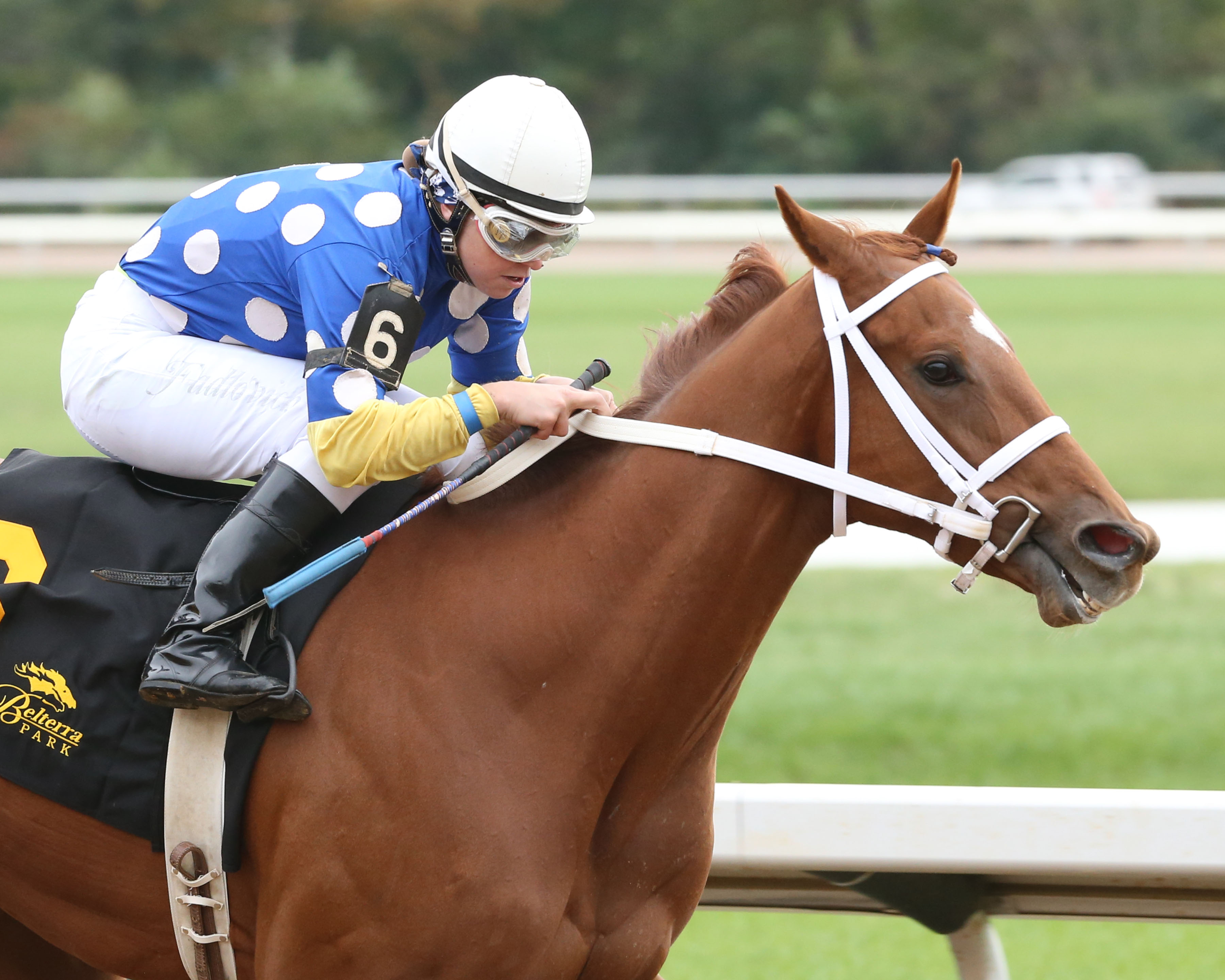 Mound wins the Juvenile Stakes