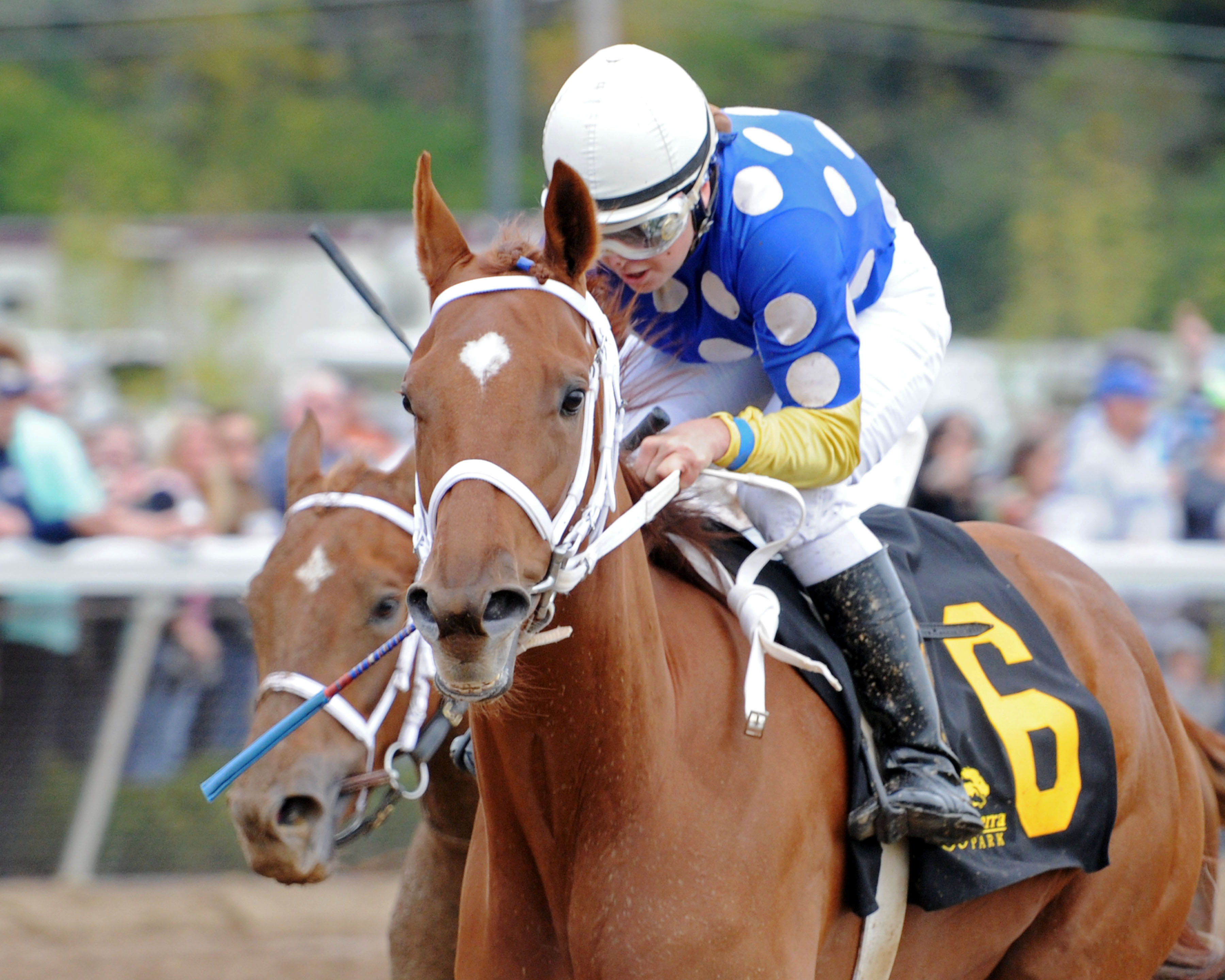 Mound wins the Juvenile Stakes