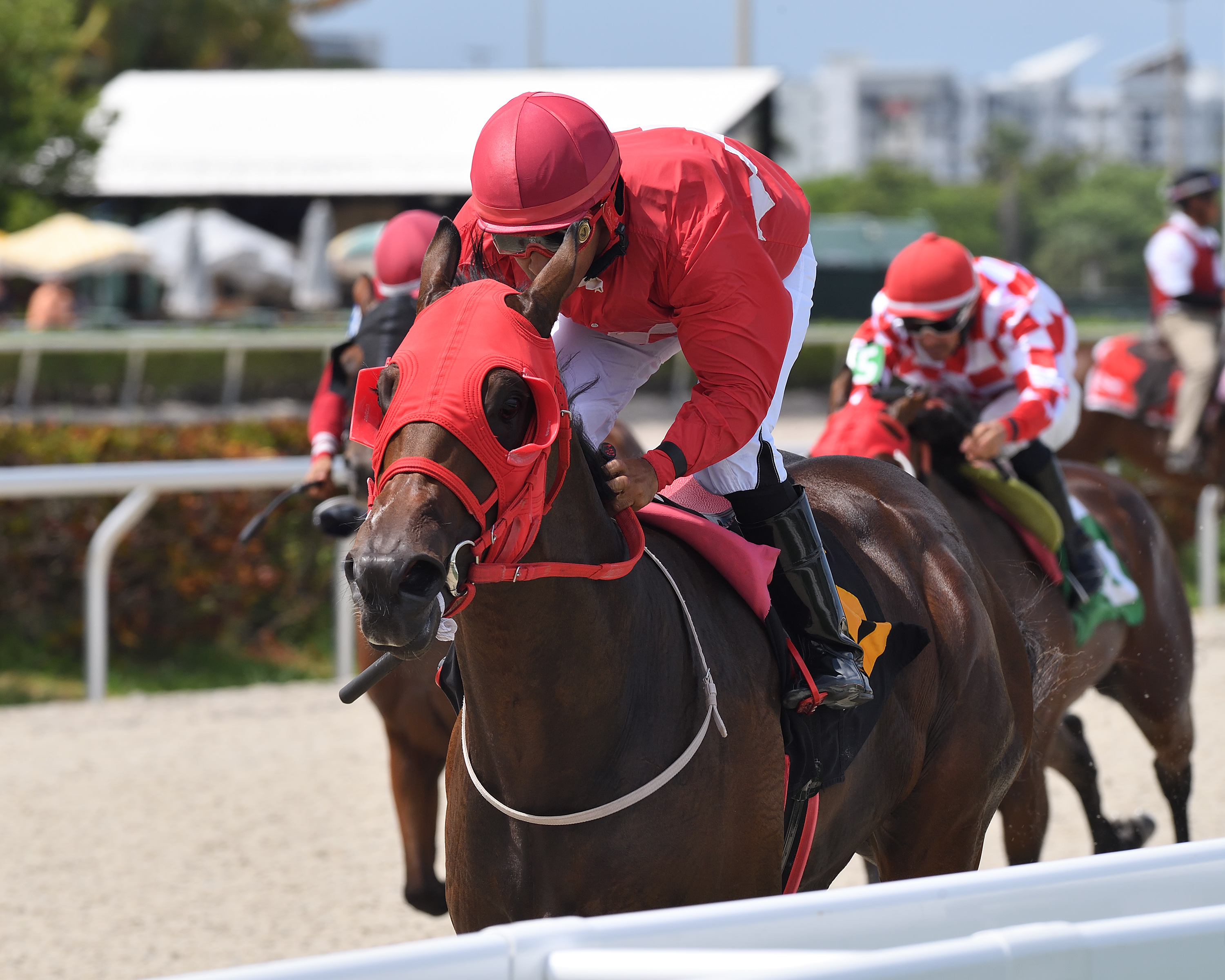 Mounsieur Coco wins Proud Man 8-28-2022