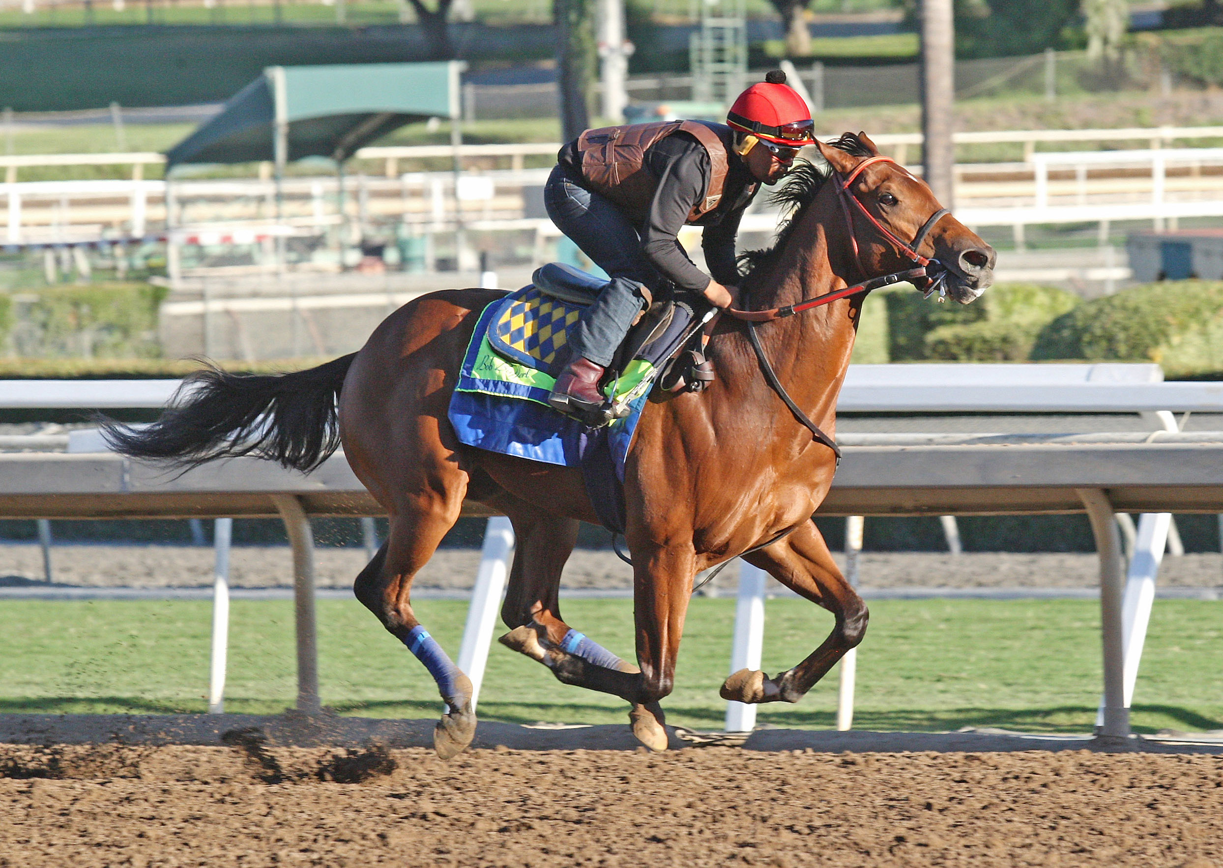 Mourinho trains at Santa Anita in October 2017