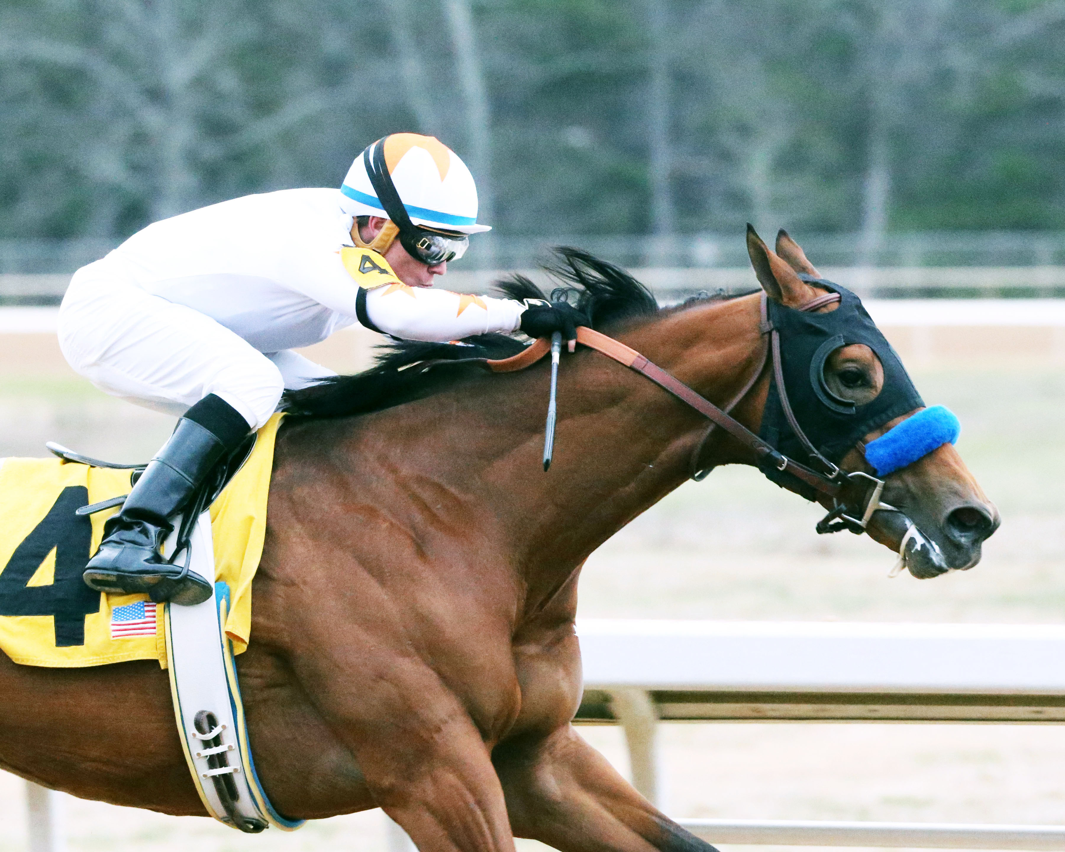Mourinho wins the 2018 Smarty Jones Stakes