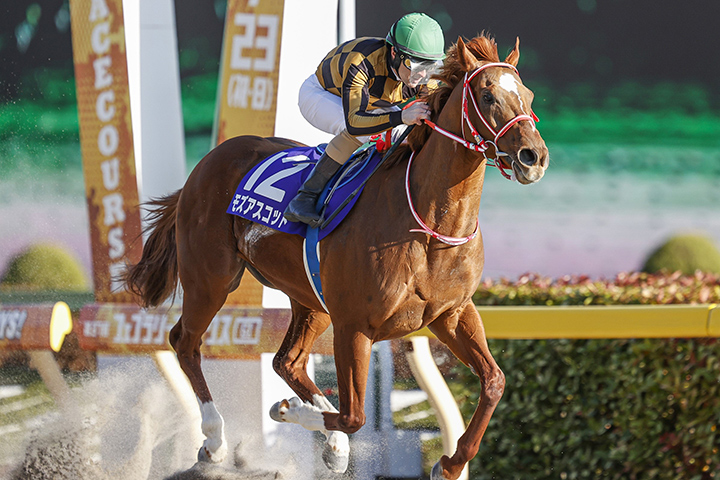Mozu Ascot wins the 2020 February Stakes at Tokyo Racecourse