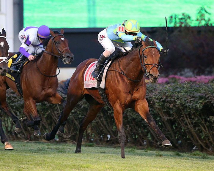 Mr Dumas wins the Commonwealth Turf at Churchill Downs