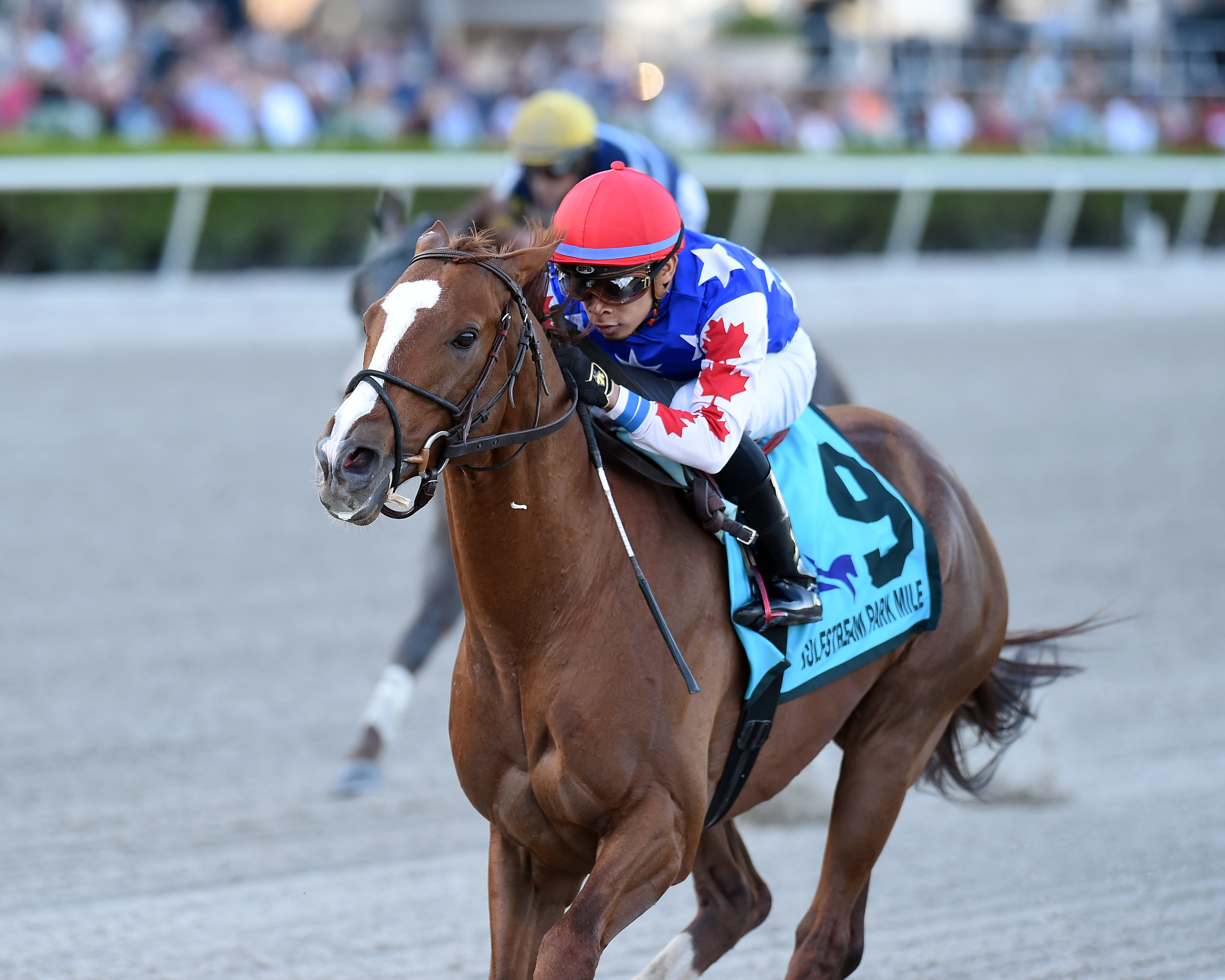 Mr Freeze wins the 2020 GP Mile