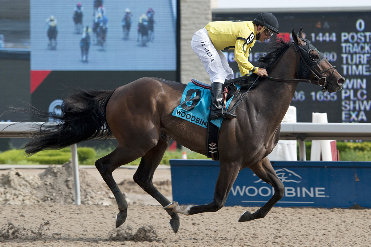 Mr Havercamp wins the 2018 Steady Growth Stakes