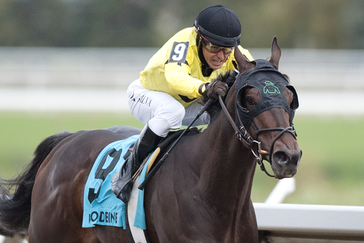 Mr Havercamp wins the 2018 Autumn Stakes
