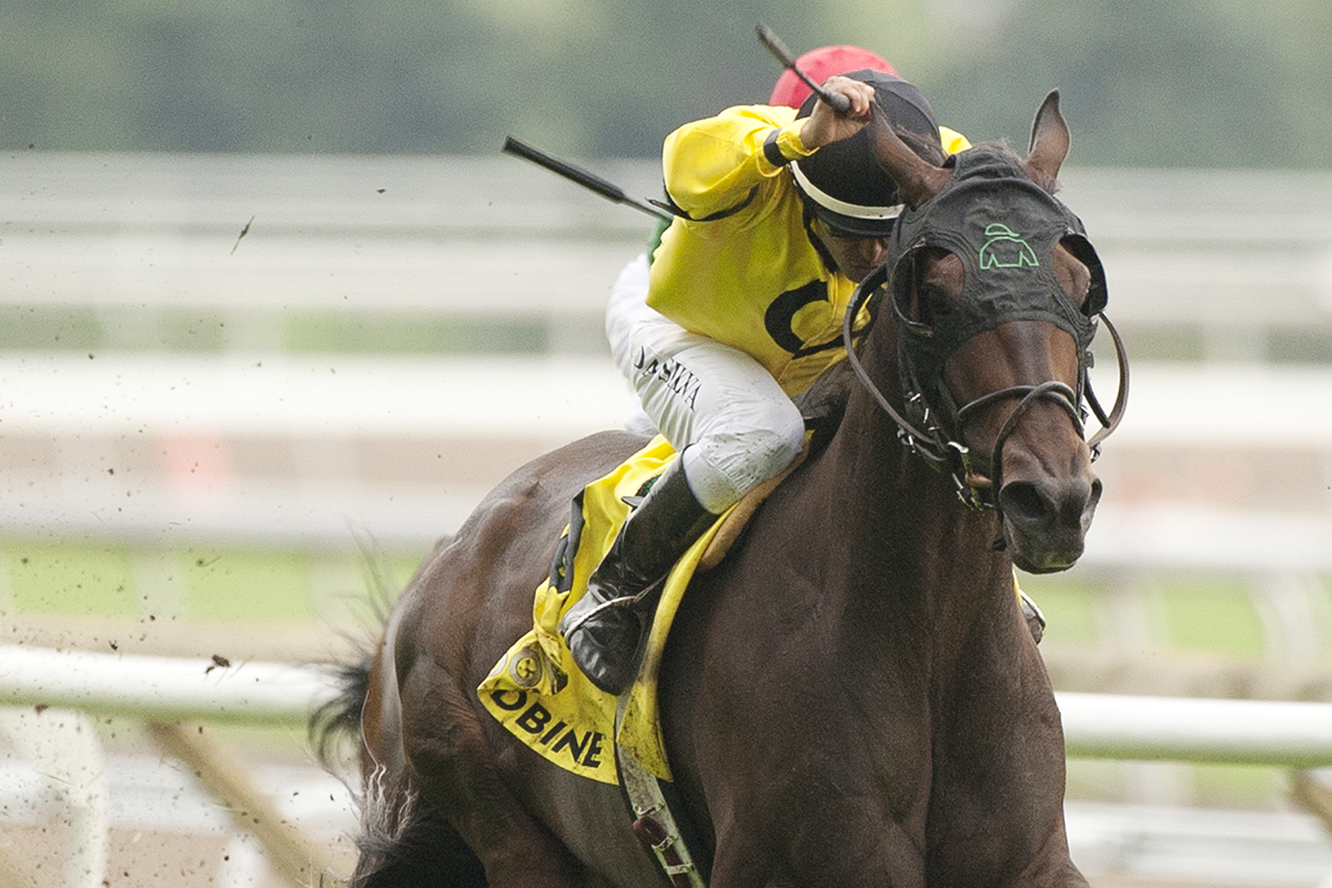 Mr Havercamp wins the 2018 Play the King Stakes