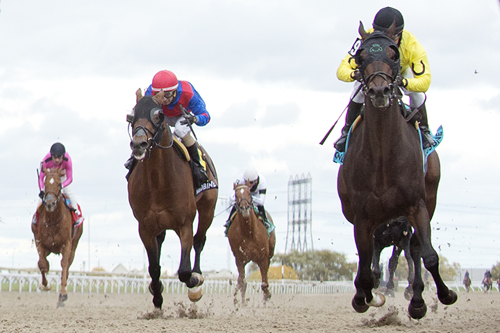 Mr Havercamp wins the 2018 Autumn Stakes