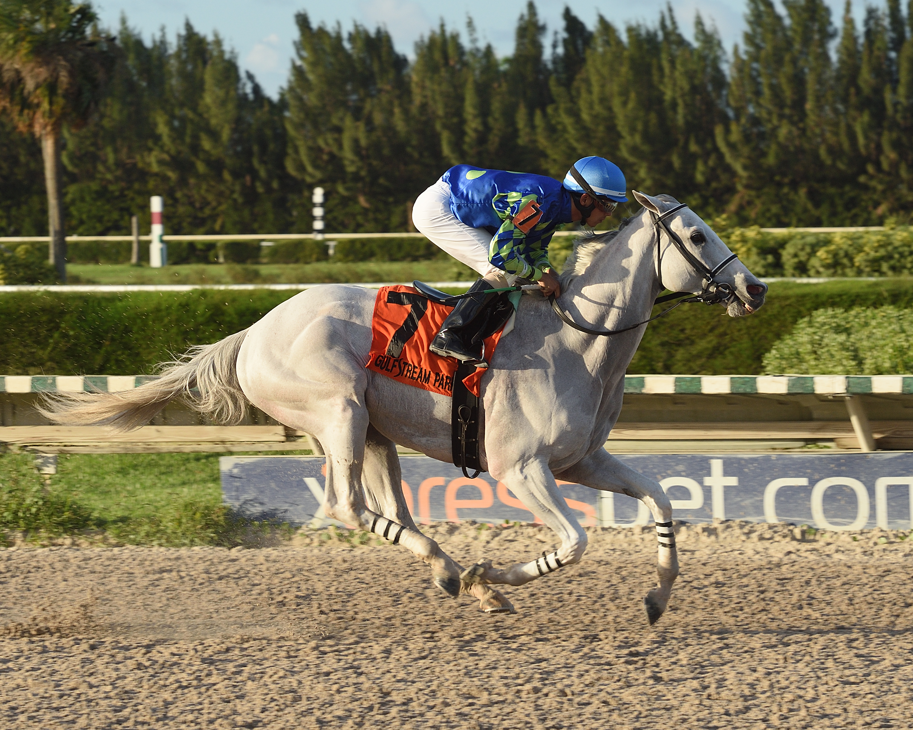 Mr. Jordan wins the 2017 Millions Classic Preview