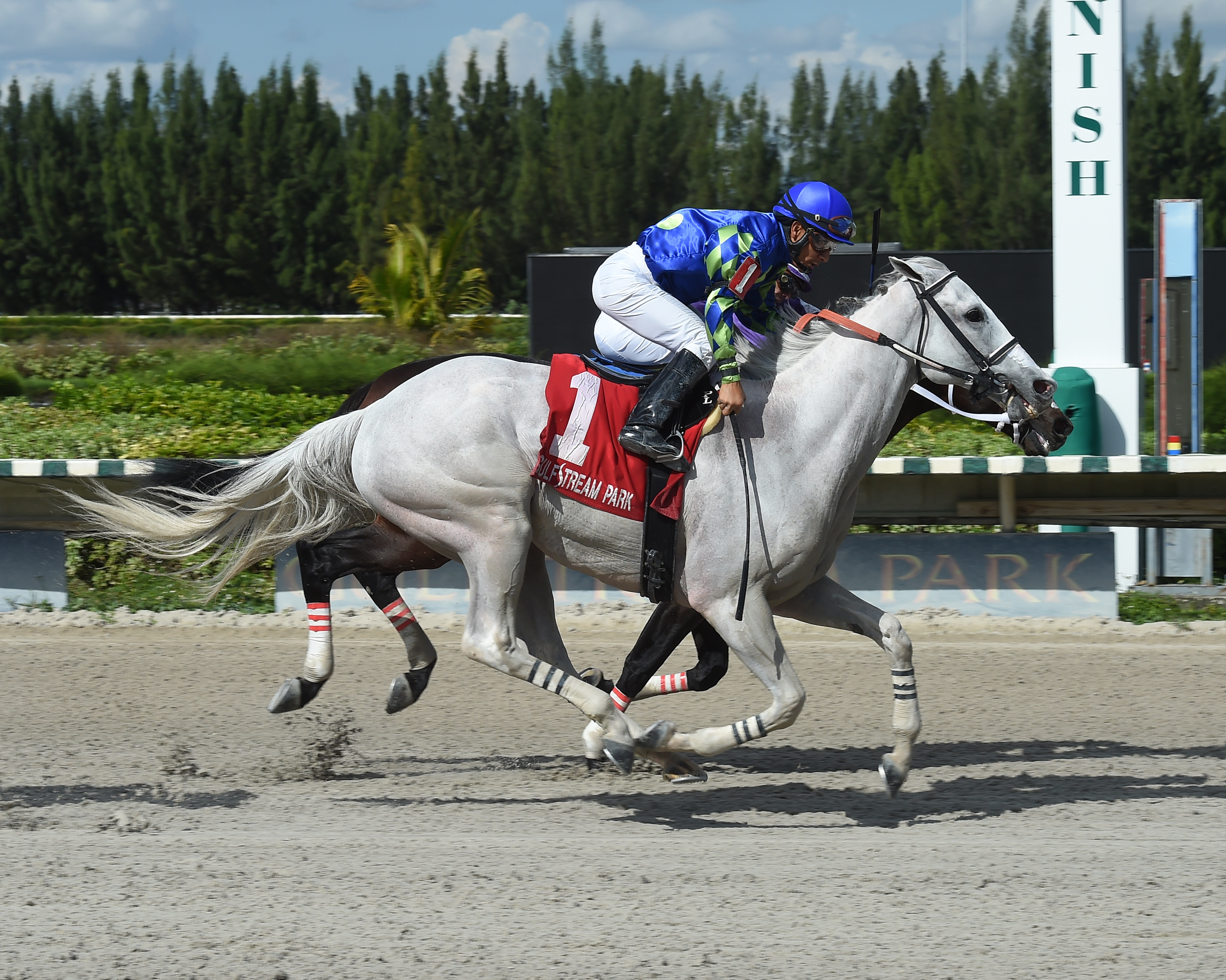Mr. Jordan wins 2018 Sunshine Millions Classic Preview