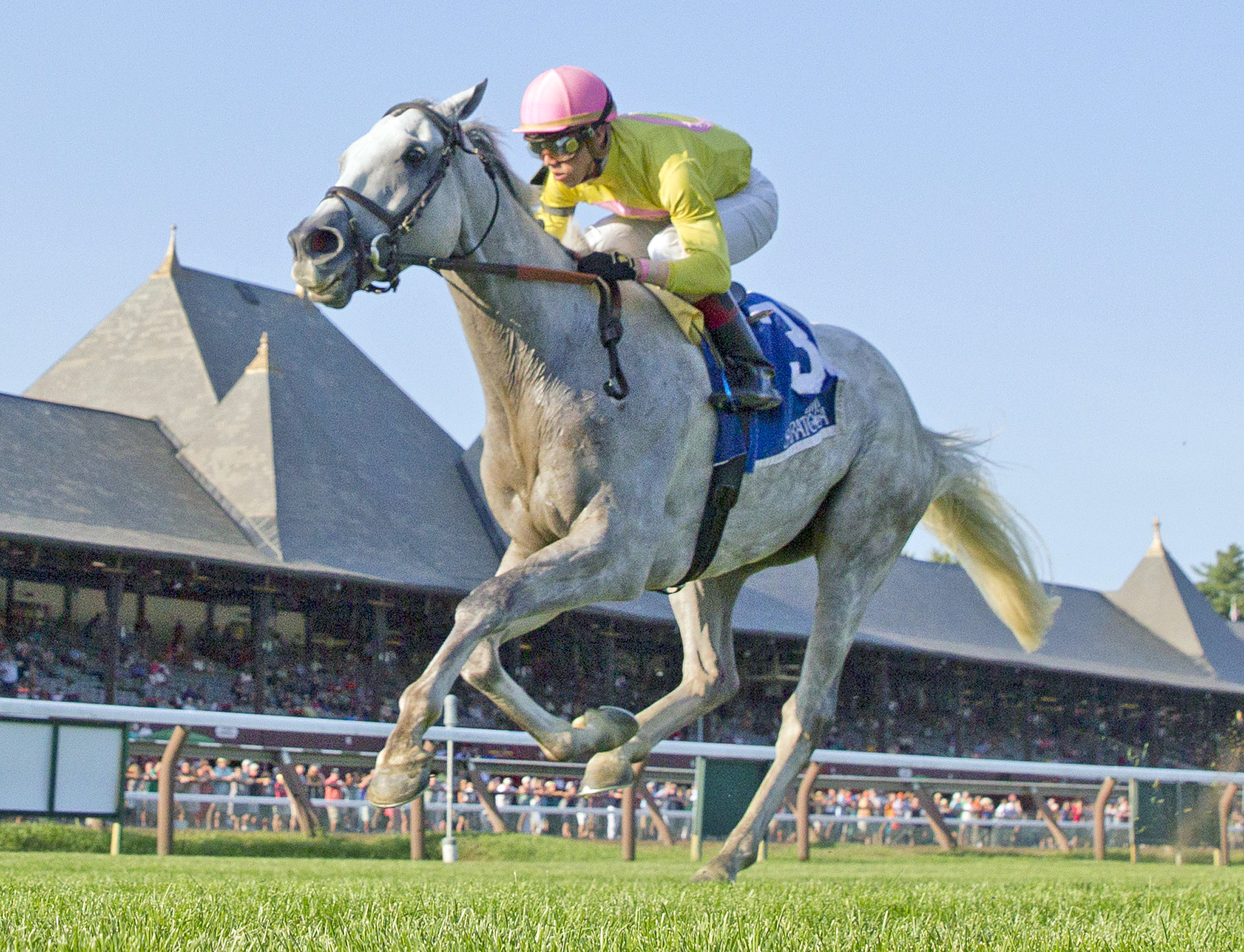 Mr Maybe wins the 2016 John's Call Stakes