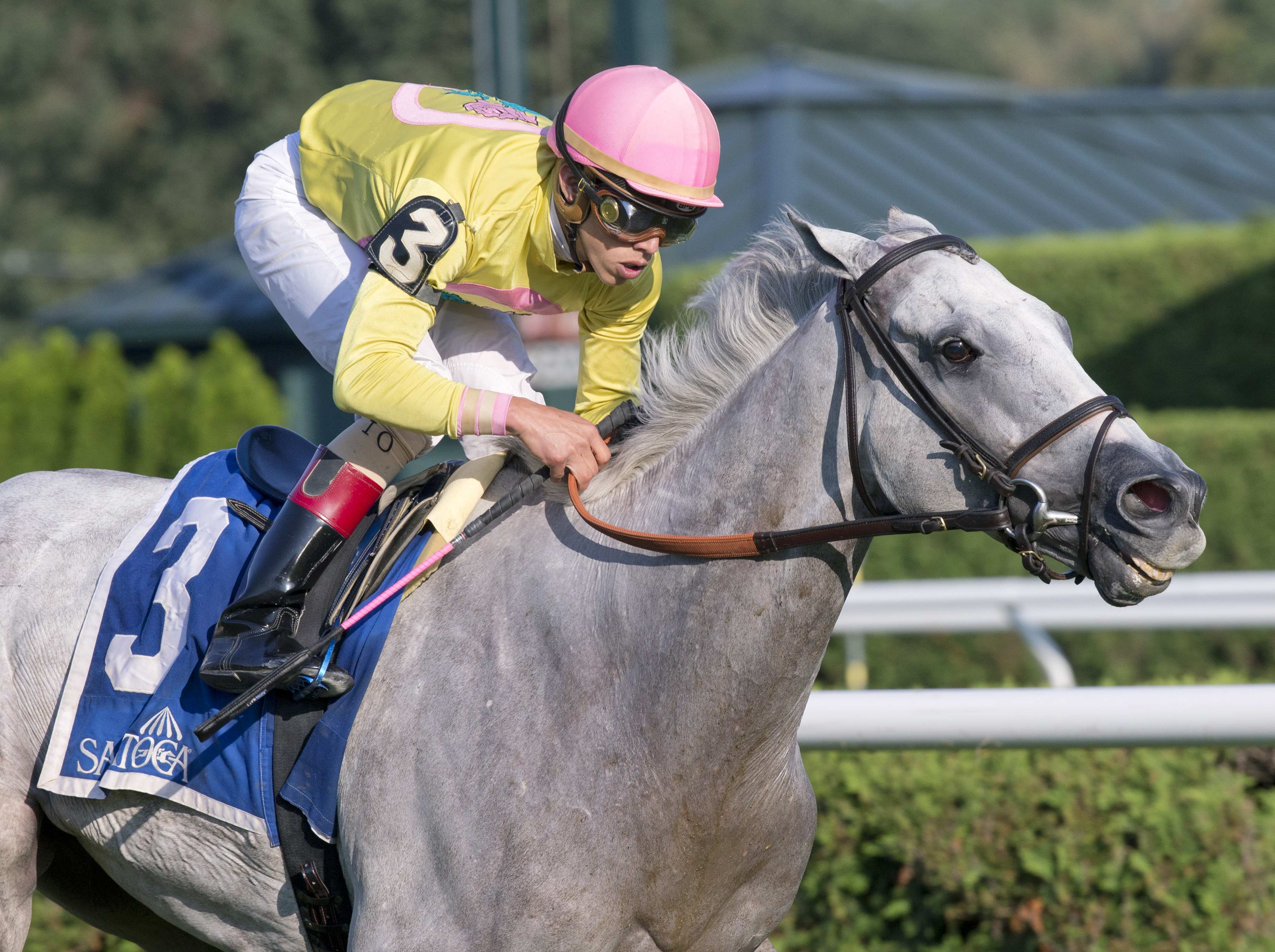 Mr Maybe wins the John's Call