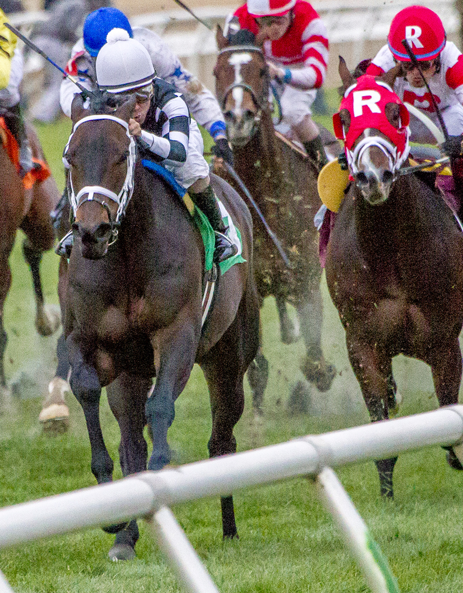 Mr Misunderstood wins the 2017 Woodchopper Stakes