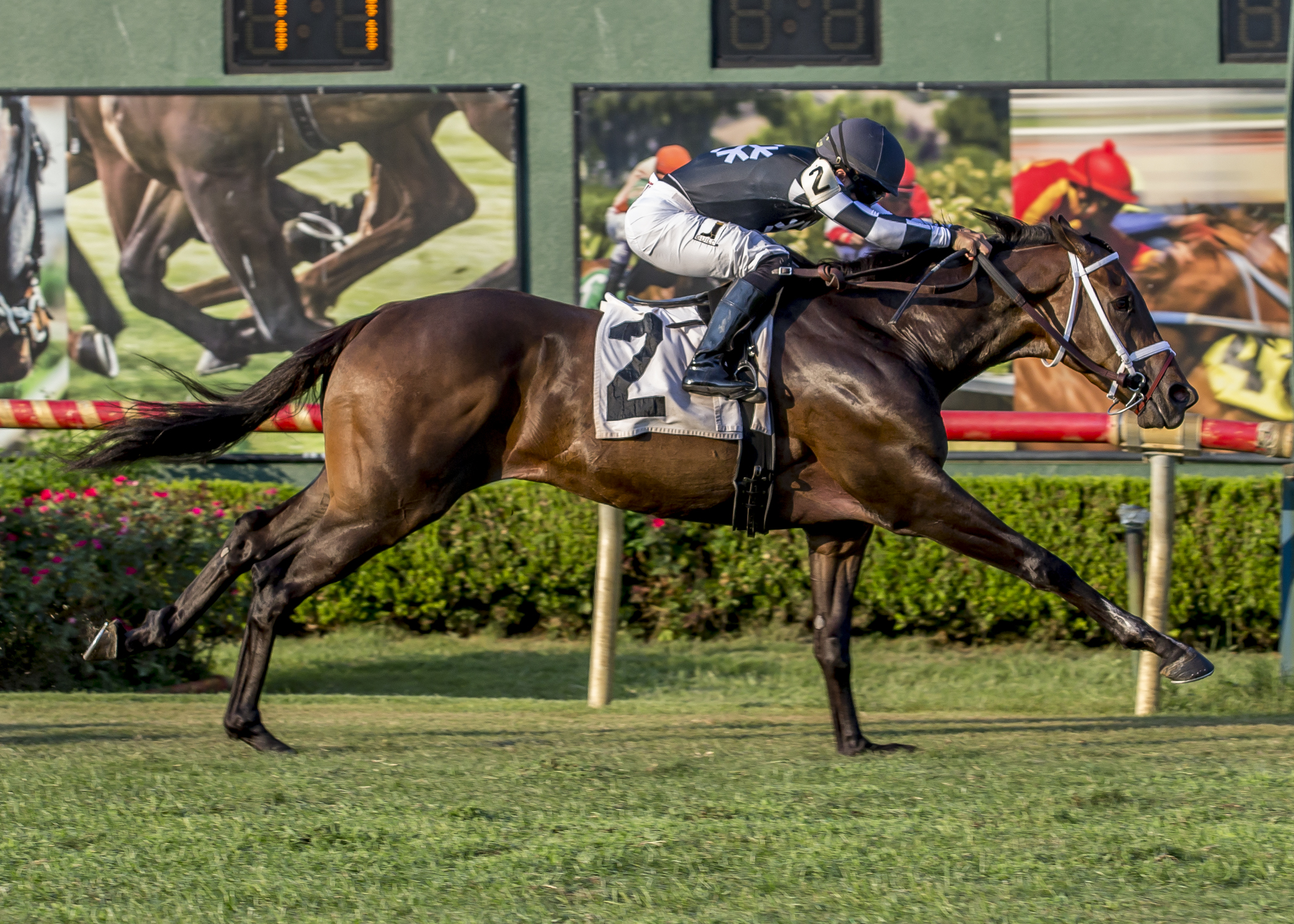 Mr. Misunderstood wins the Super Derby Prelude Stakes at Louisiana Downs 8.5.17_ASHP