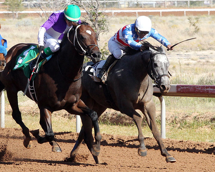Mr Money Bags (right) wins the Roadrunner Stakes at Zia Park