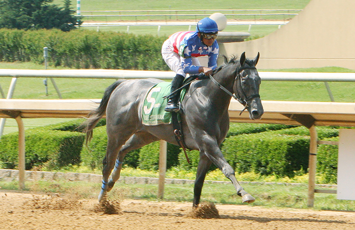 Mr Money Bags wins the 2019 Texas Stallion Stakes Stymie division