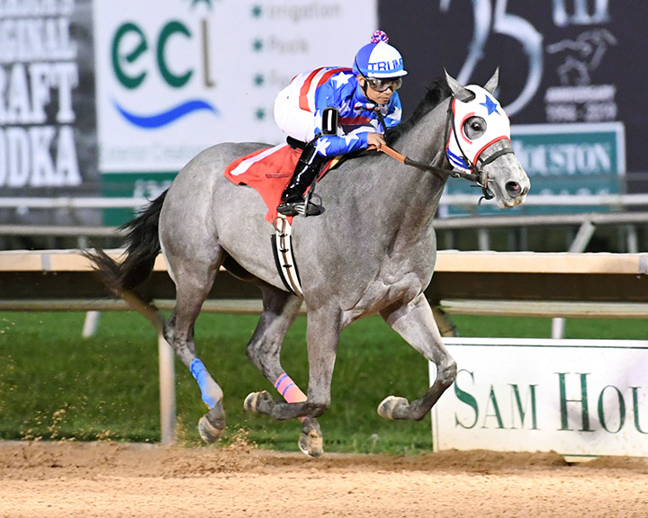 Mr Money Bags wins the 2019 Jim-s Orbit