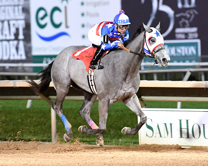 Mr Money Bags wins the 2019 Jim-s Orbit