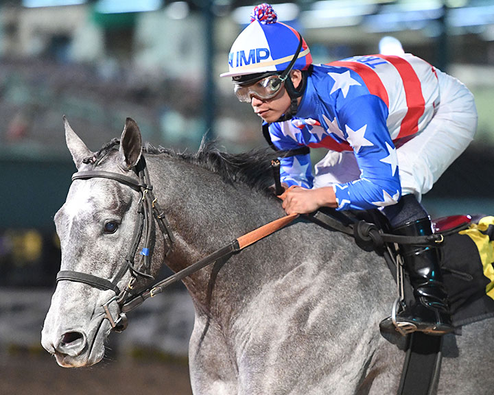 Mr Money Bags wins the 2019 Groovy Stakes