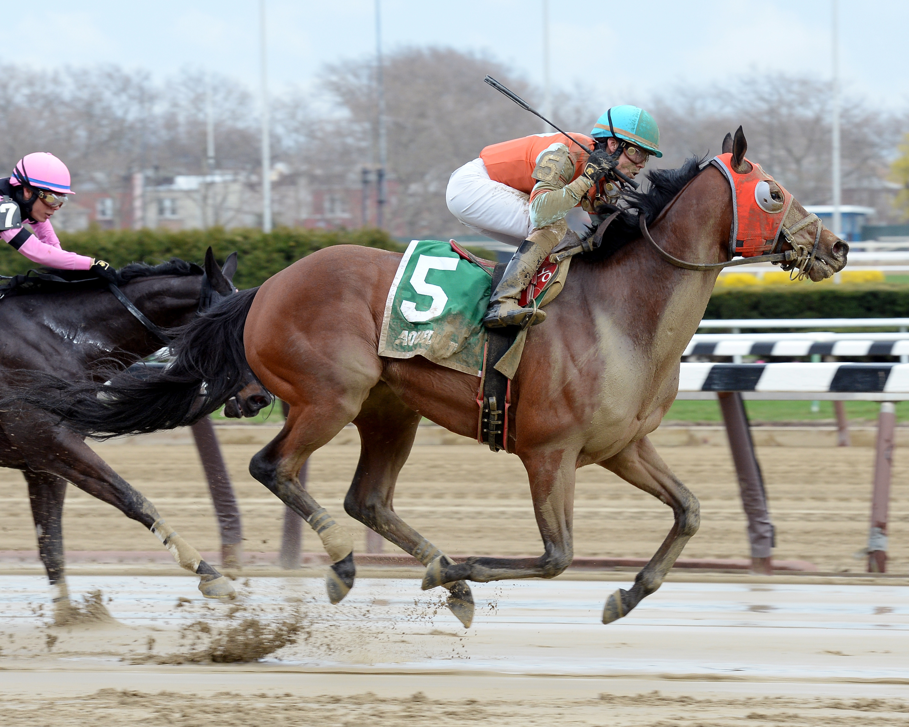 Mr Palmer wins the More To Tell Stakes
