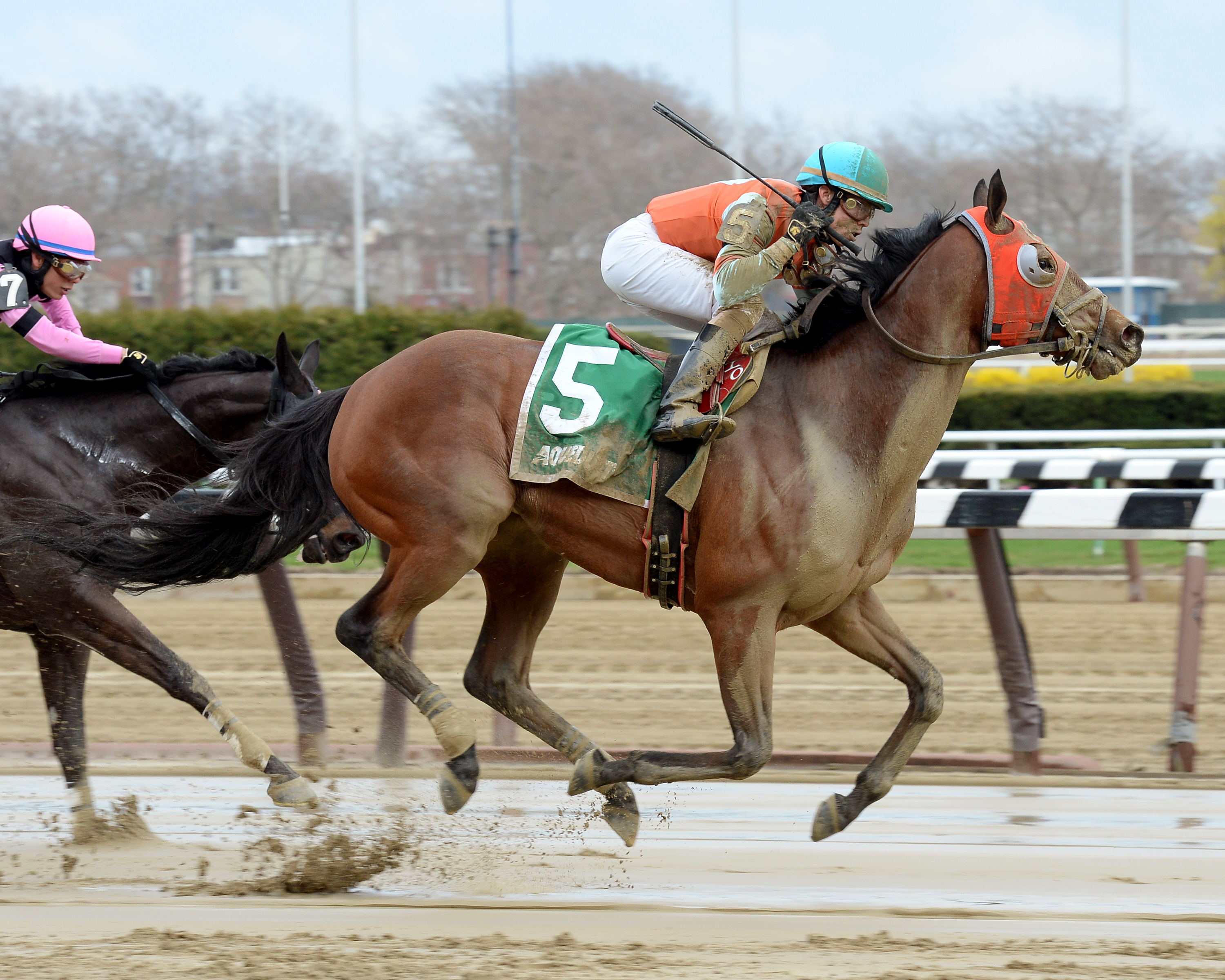Mr Palmer wins the More to Tell Stakes