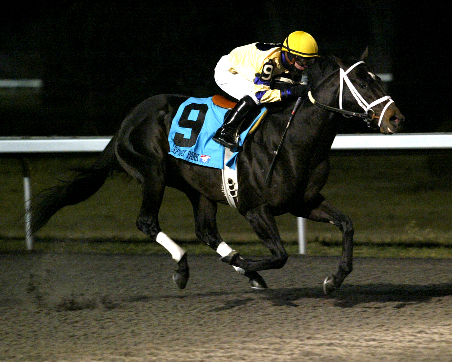 Turfway: Mr. Prankster heads one-two sweep for Maker in Prevue
