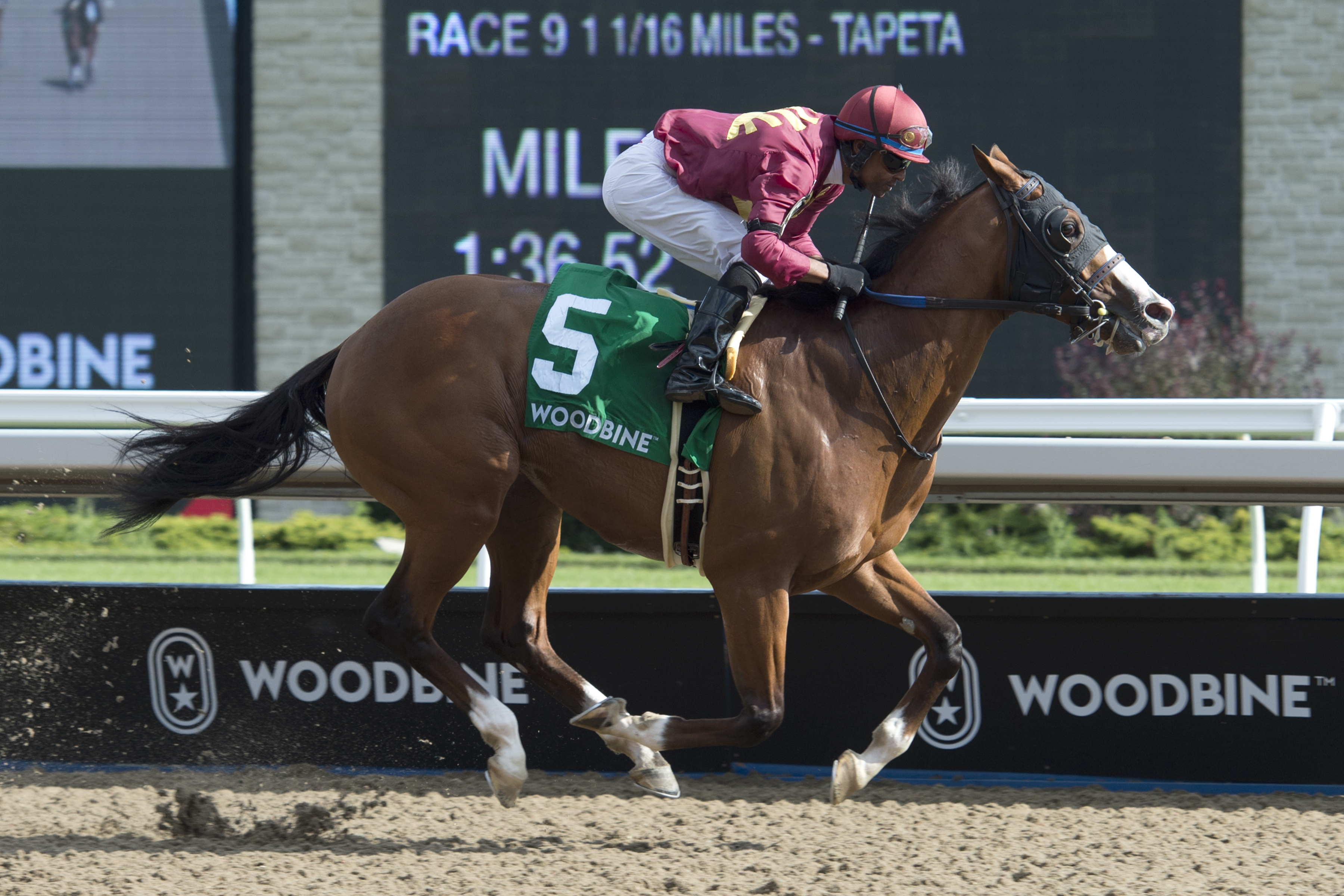 Mr Ritz wins the 2019 Seagram Cup