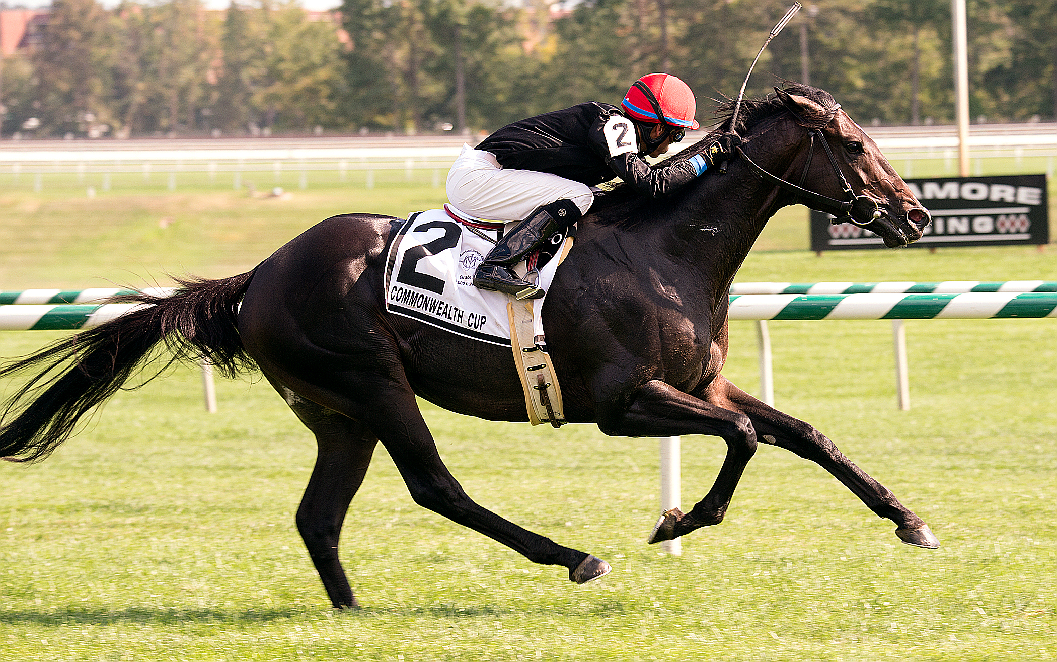 Mr Speaker wins the Commonwealth Cup