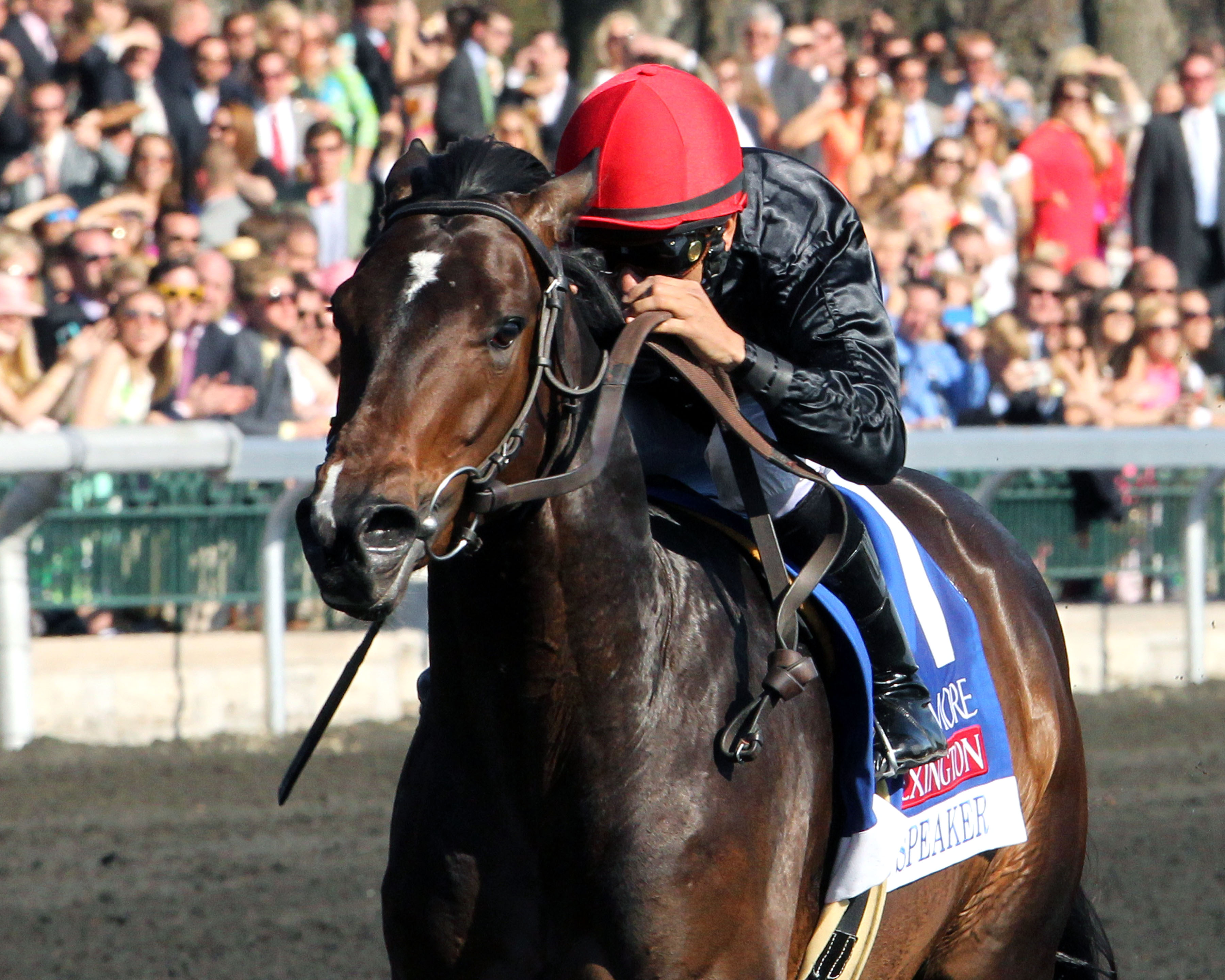 Mr Speaker wins the Lexington Stakes