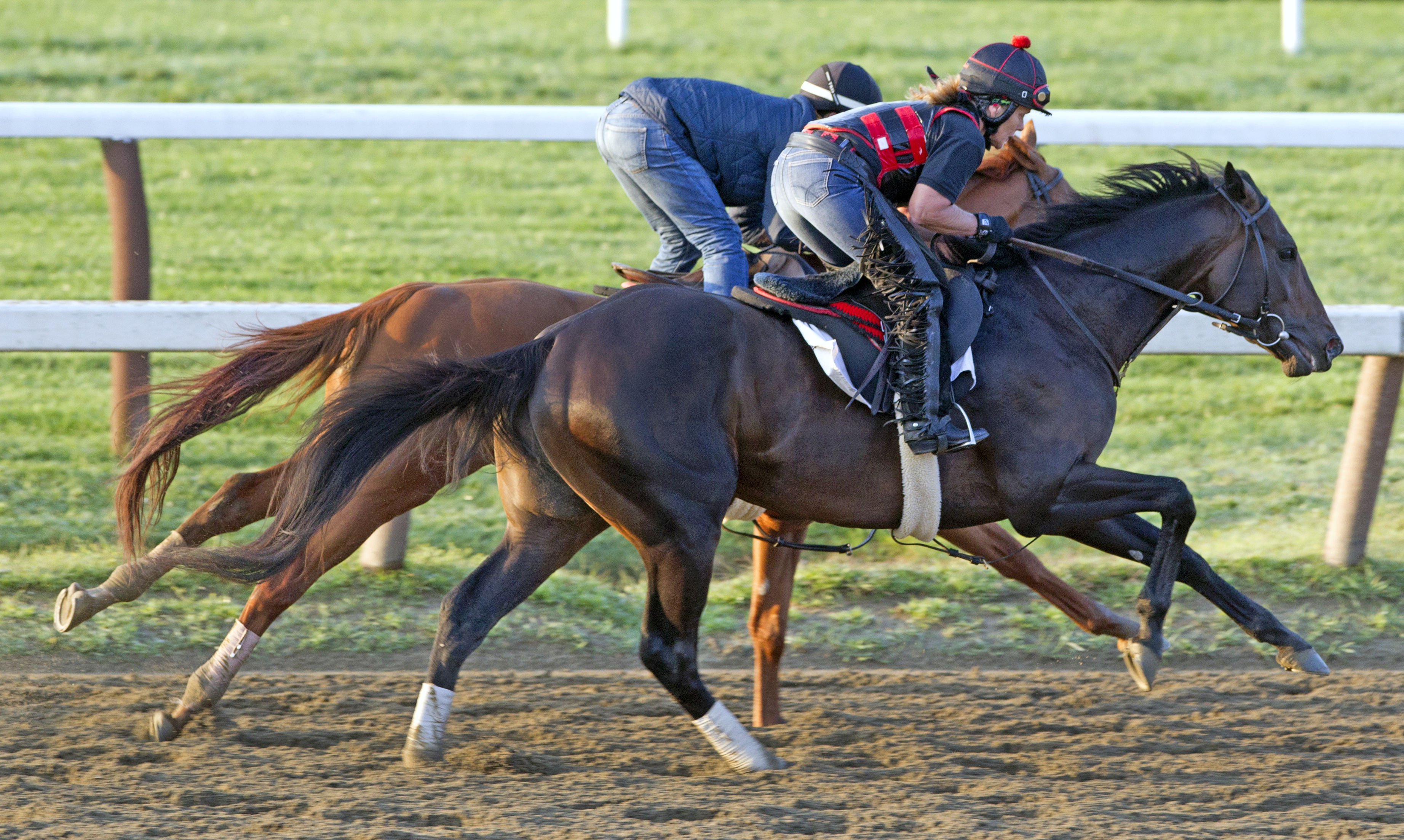 Mr Speaker works Aug 10 Saratoga