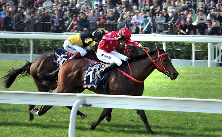 Mr Stunning wins the 2017 Hong Kong Sprint