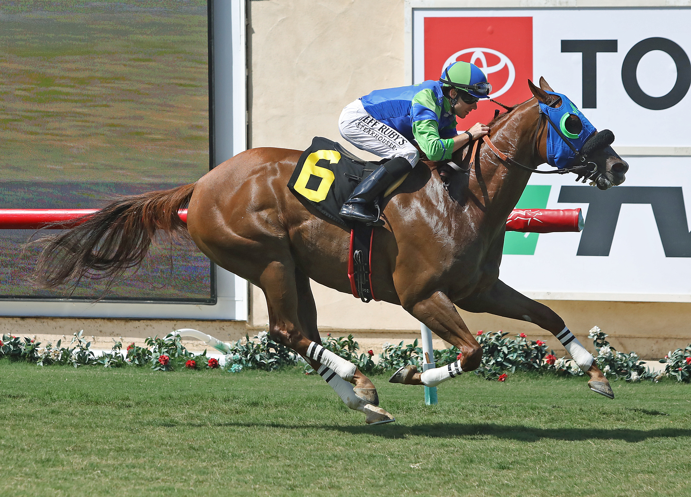 Mr Vargas wins the Green Flash Handicap at Del Mar 8-17-2019.ESH