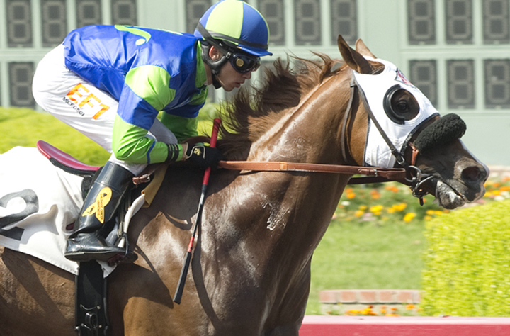 Mr Vargas wins a Sept. 8, 2017, maiden race