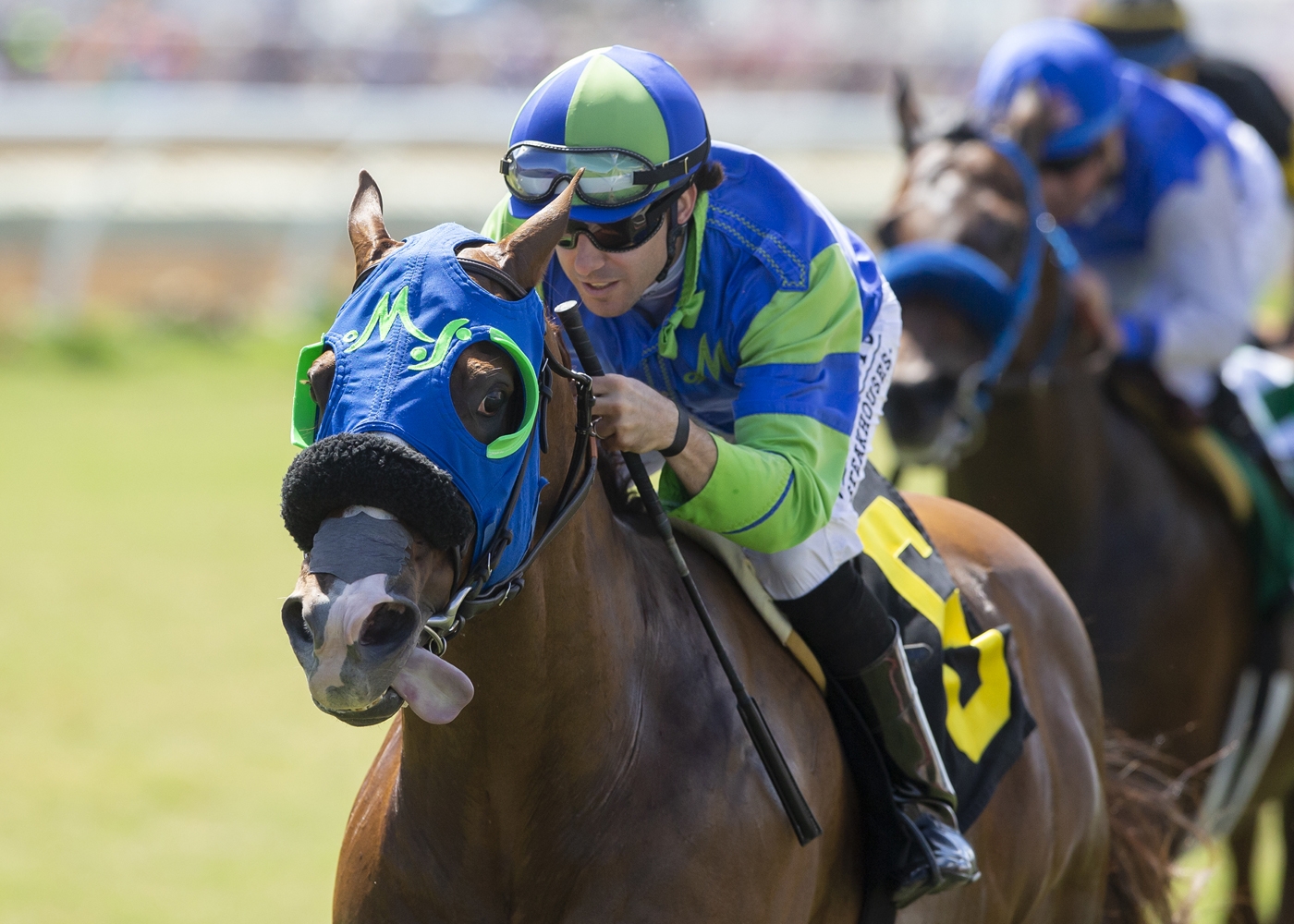 Mr Vargas wins the 2019 Green Flash Handicap