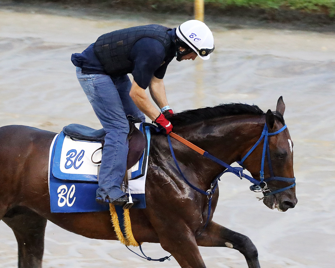 Mr. Big News trains at Churchill on Sept. 3