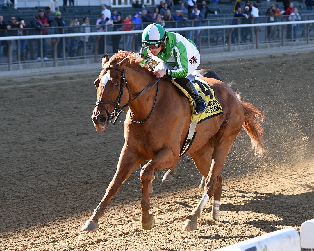 Mr. Buff wins the 2019 Empire Classic at Belmont Park